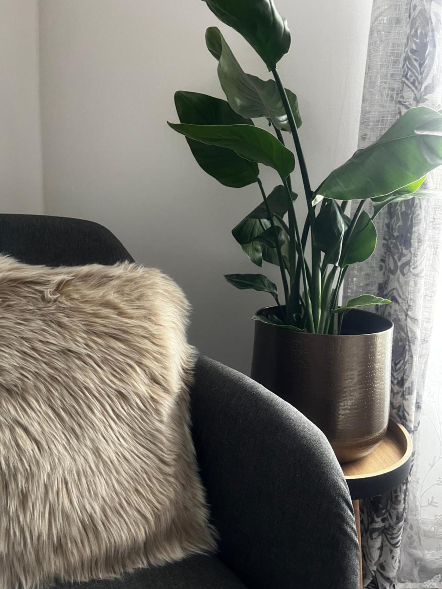 Apartment - Ceske Stredohori Oparno